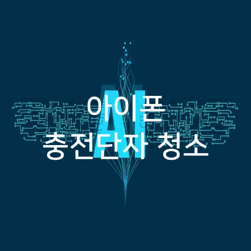 아이폰 충전단자 청소