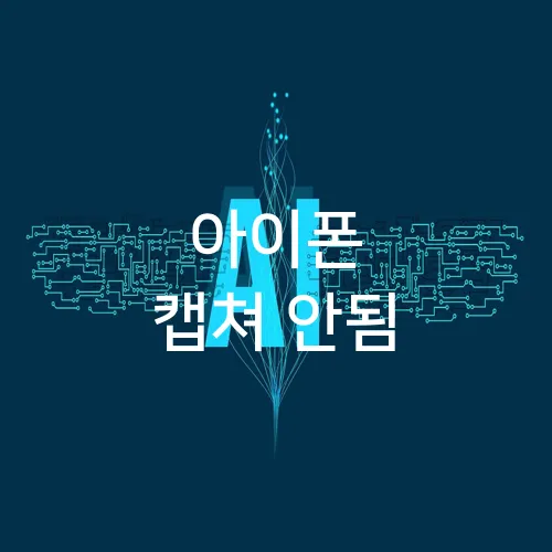 아이폰 캡쳐 안됨