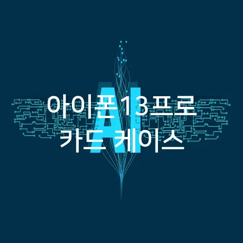 아이폰13프로 카드 케이스