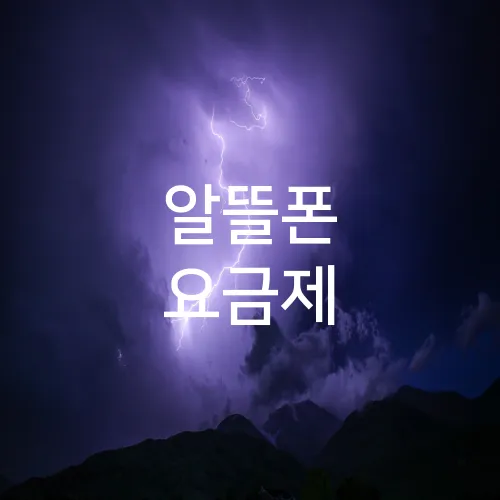 알뜰폰 요금제