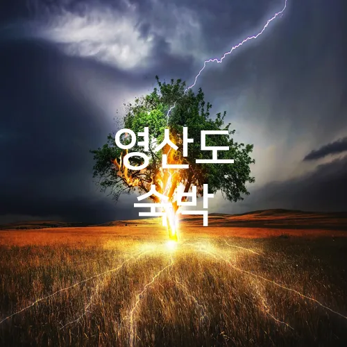 영산도 숙박