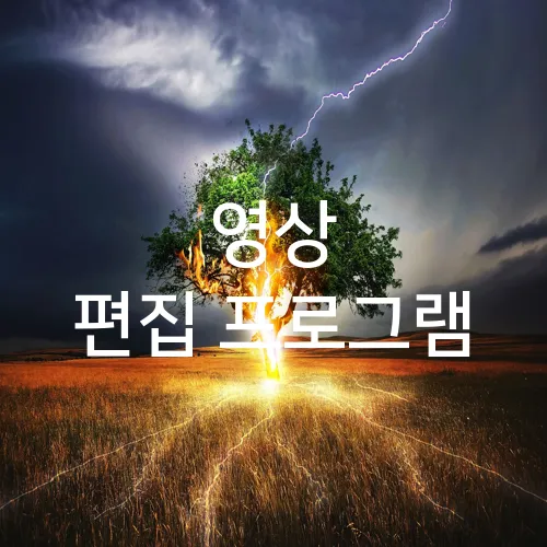 영상 편집 프로그램
