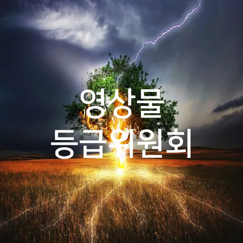 영상물 등급위원회