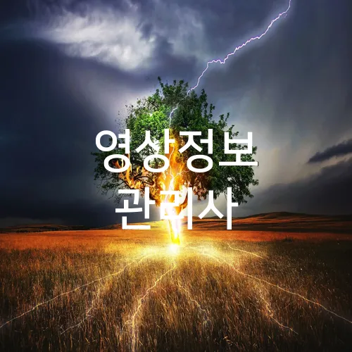 영상정보 관리사