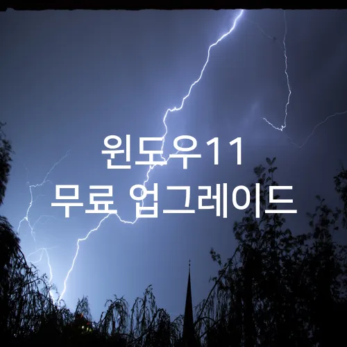 윈도우11 무료 업그레이드