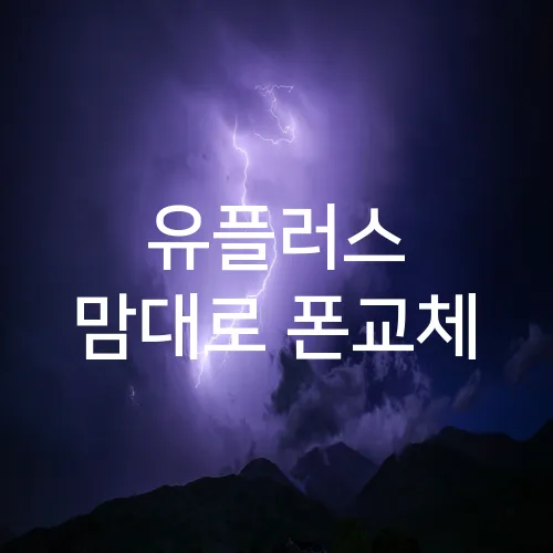 유플러스 맘대로 폰교체