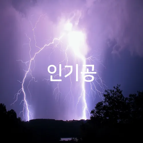 인기공
