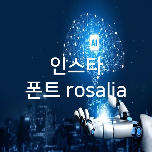 인스타 폰트 rosalia