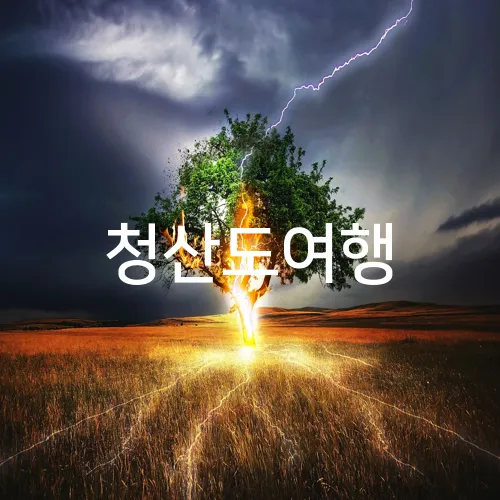 청산도여행