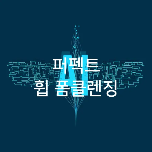 퍼펙트 휩 폼클렌징