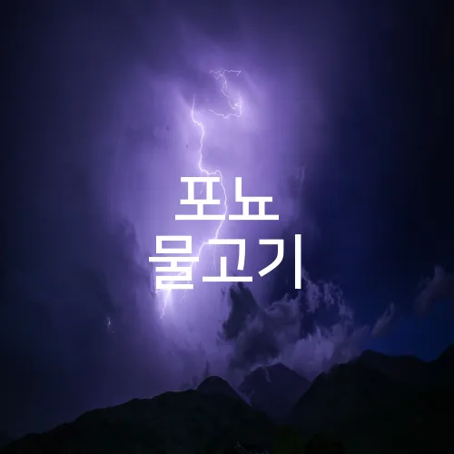 포뇨 물고기