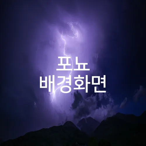 포뇨 배경화면