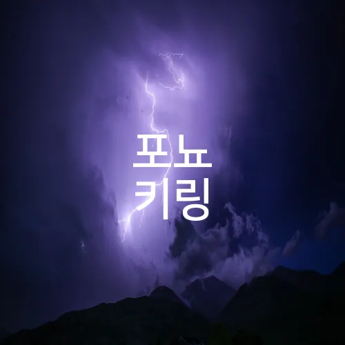 포뇨 키링