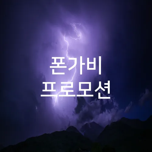 폰가비 프로모션