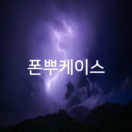 폰뿌케이스