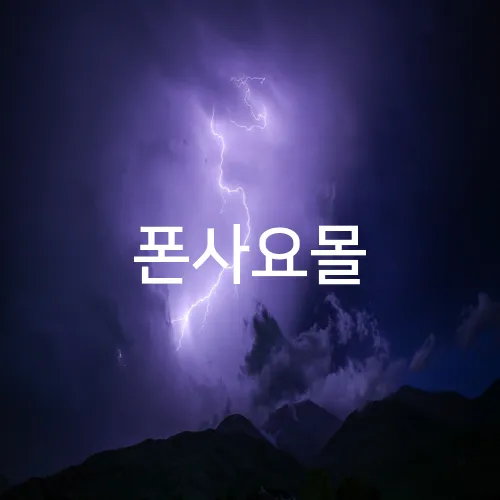 폰사요몰