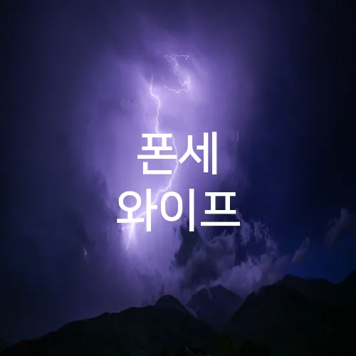 폰세 와이프