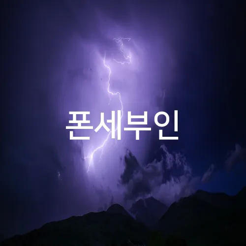 폰세부인
