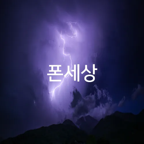 폰세상