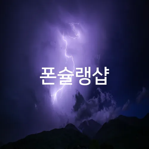 폰슐랭샵