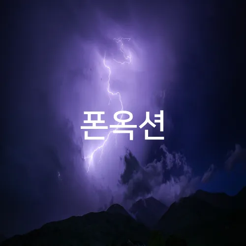 폰옥션