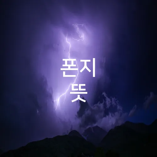 폰지 뜻