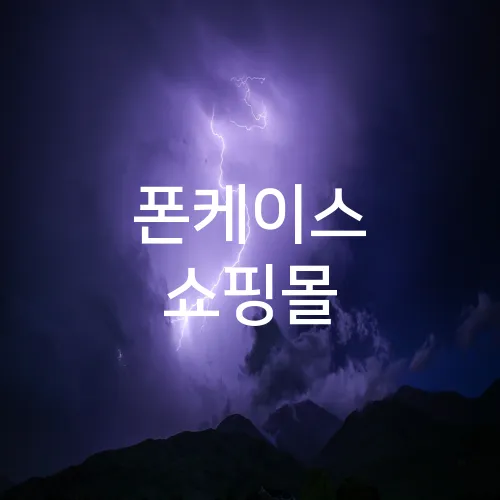 폰케이스 쇼핑몰