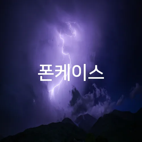 폰케이스