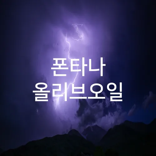 폰타나 올리브오일