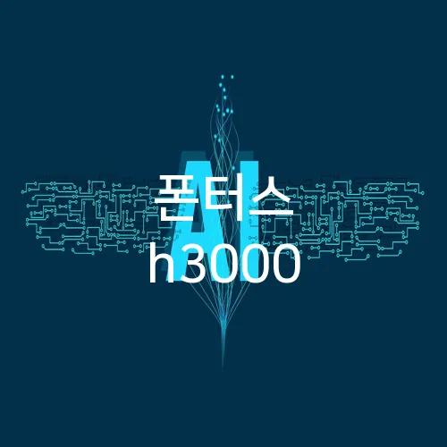 폰터스 h3000