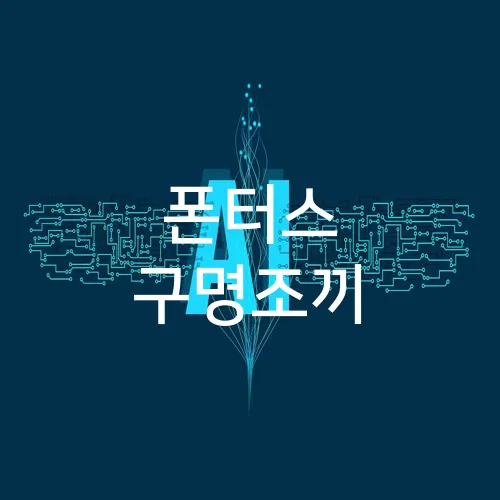 폰터스 구명조끼