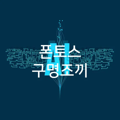 폰토스 구명조끼
