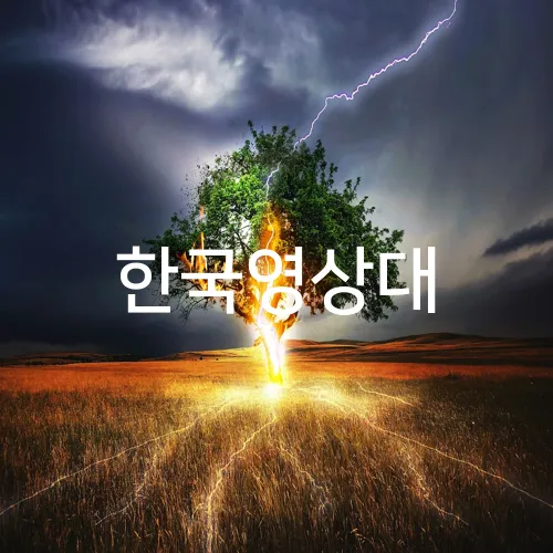 한국영상대