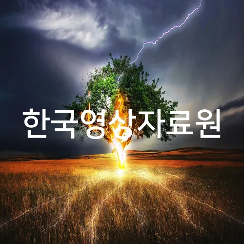 한국영상자료원